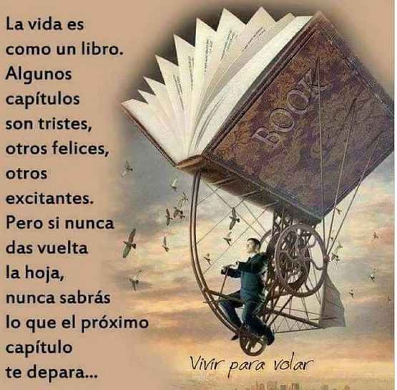 vivir para volar.jpg